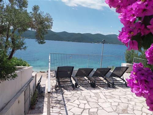 Ferielejlighed - 3 personer -  - Orebic/Viganj - 20250