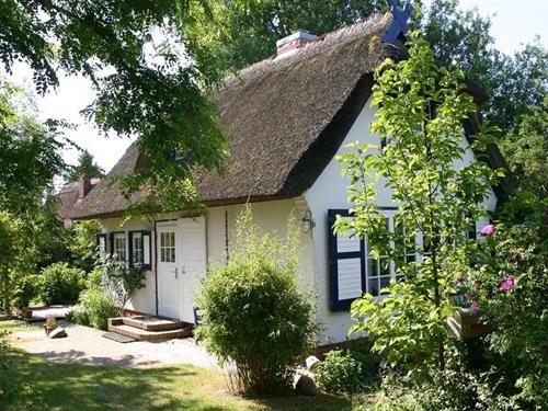 Sommerhus - 2 personer -  - Edmund-Kesting-Weg - 18347 - Ostseebad Ahrenshoop