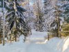 Bilde 28 - Inne