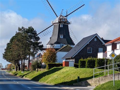 Ferienhaus - 2 Personen -  - Mühlenstraße - 26409 - Carolinensiel-Harlesiel