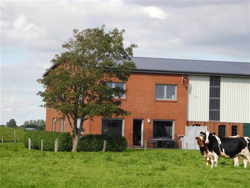 Sommerhus - 9 personer -  - Büsum - 25761