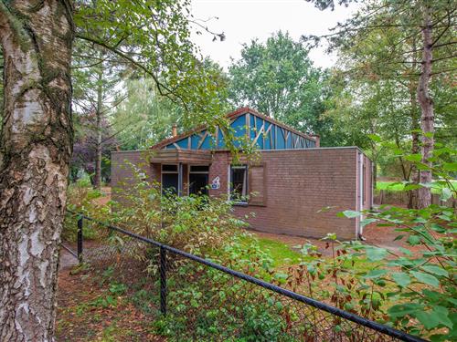Bungalow - 6 Personen -  - 6002ST - Weert