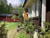 Bilde 8 - Ude