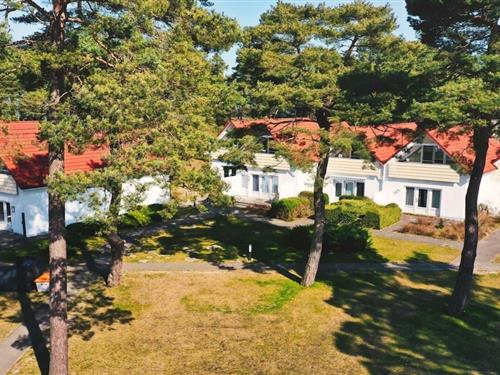 Sommerhus - 3 personer -  - 18375 - Ostseebad Prerow