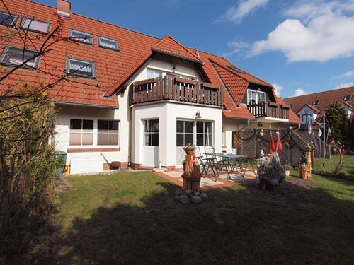 Holiday Home/Apartment - 4 persons -  - Martha Müller Grählert Weg - 18374 - Zingst