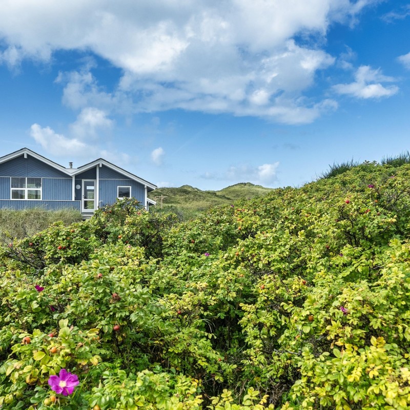 Sommerhus - 8 personer -  - Bjærgevej - Vejers Nordstrand - 6853 - Vejers Strand