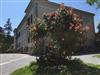 Image 19 - Outside