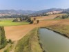 Billede 29
