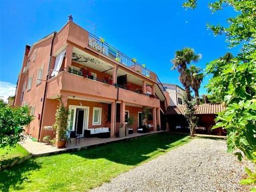 Ferieleilighet - 3 personer -  - Gradska vrata - 23312 - Novigrad-Dalmacija