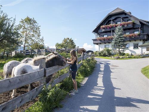 Bondegård - 5 personer -  - Leiten - 8972 - Ramsau Am Dachstein
