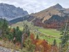 Bild 38