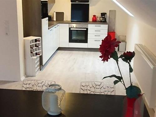 Ferienhaus - 4 Personen -  - Brunnenstraße - 56820 - Senheim (Mosel)