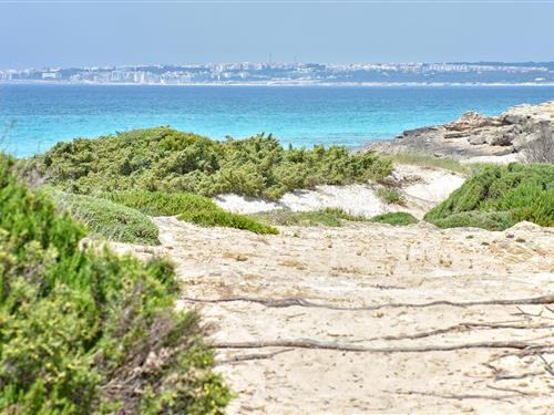 Ferieleilighet - 6 personer -  - Via Delle Robinie - 73014 - Gallipoli