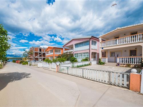 Ferielejlighed - 4 personer -  - Put Žitne - 23234 - Vir