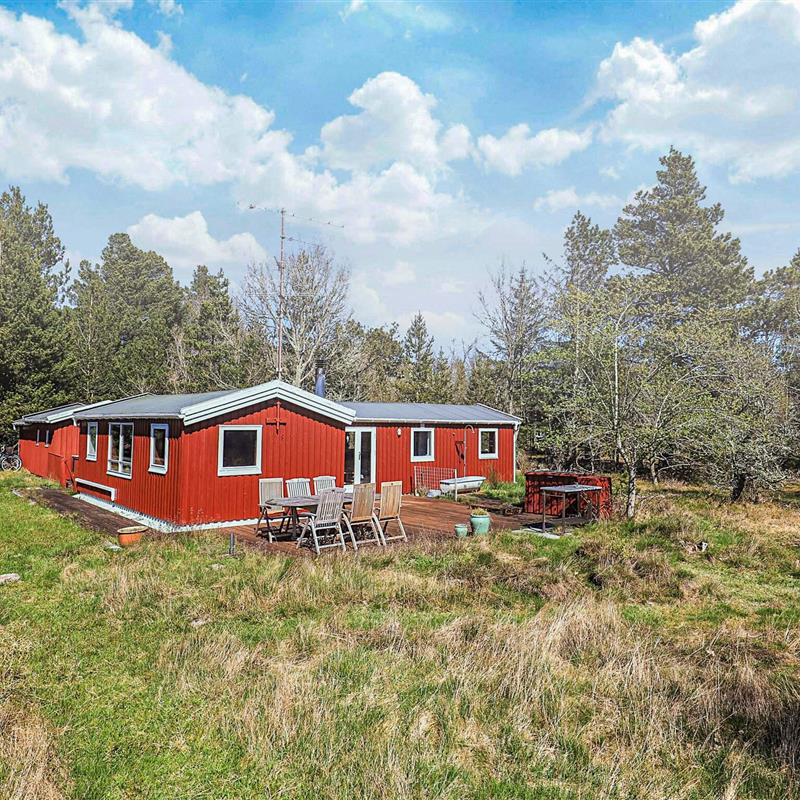 Ferienhaus - 6 Personen -  - Brushønevej - Lodskovvad - 9982 - Aalbæk