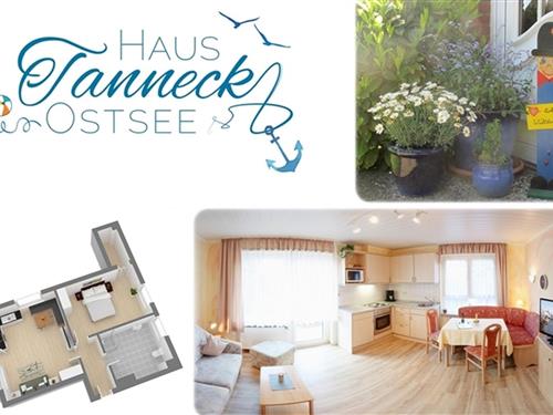 Holiday apartment - 2 persons -  - Kirchweg - 23746 - Kellenhusen