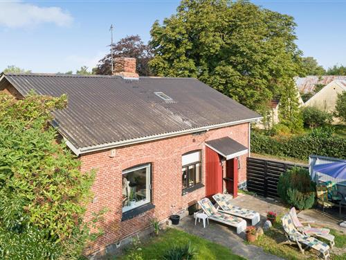 Sommerhus - 8 personer -  - Liselundvej - Borre/Møn - 4791 - Borre