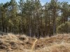 Billede 25 - Grund