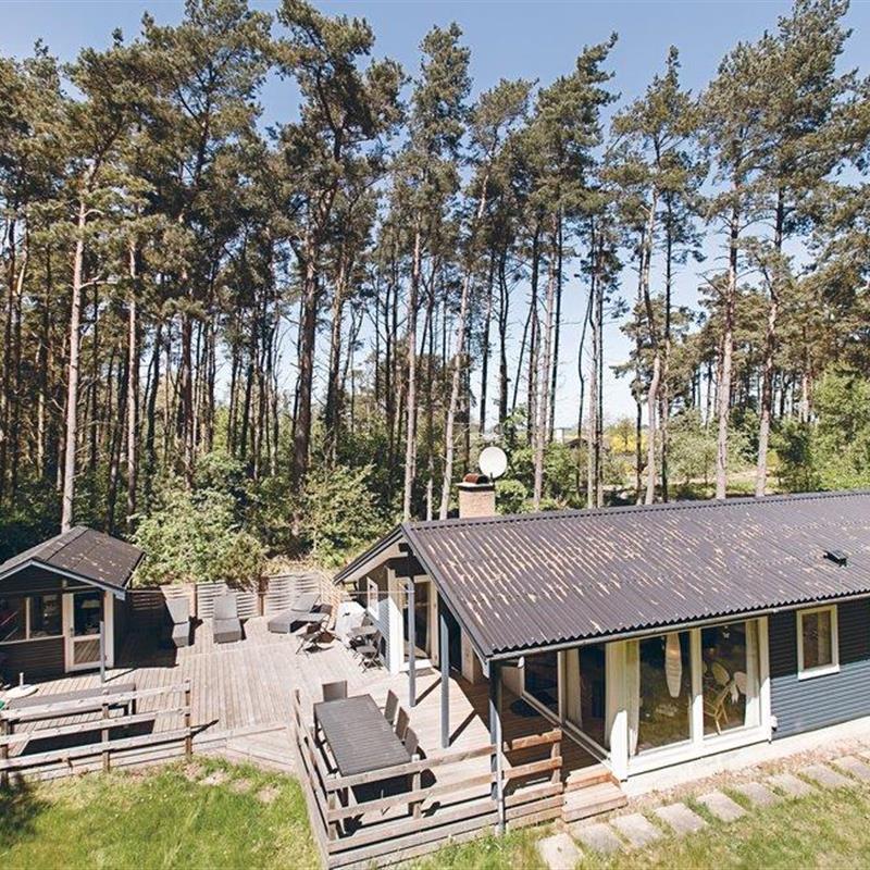 Ferienhaus - 6 Personen -  - Munkegårdsskoven - Dueodde - 3730 - Nexö