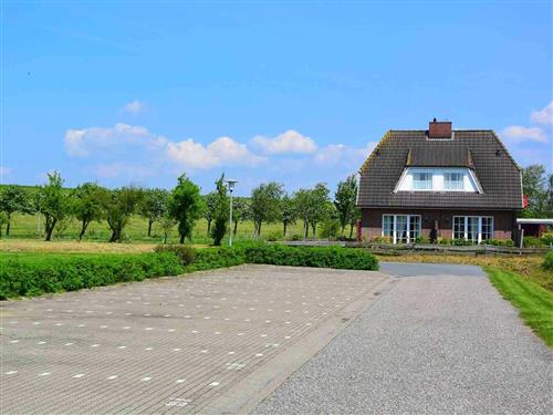 Sommerhus - 4 personer -  - Flackeholm - 25718 - Friedrichskoog / Spitze