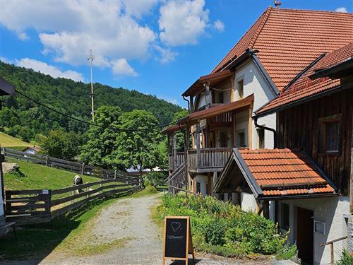 Ferieleilighet - 7 personer -  - Eckertsreut - 94160 - Ringelai