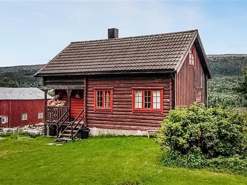 Sommerhus - 6 personer -  - Graftåsvegen - Røros/Ålen - 7380 - Ålen