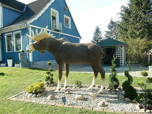 Semesterlägenhet - 7 personer -  - Uelzener Straße - 29348 - Eschede