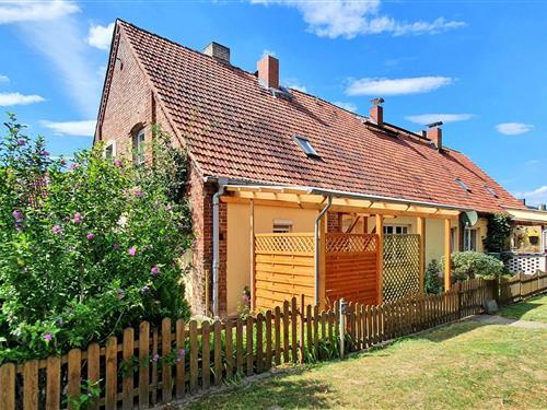 Semesterhus/Semesterlägenhet - 3 personer -  - Zum Flachsee - Grabowhöfe Ot Sophienhof - 17194 - Grabowhöfe Ot Sophienh