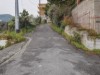 Billede 6