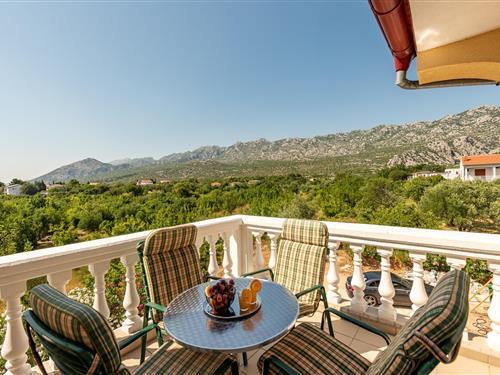 Ferieleilighet - 4 personer -  - Ulica dok. Franje Tudmana - Starigrad Paklenica-Seline - 23244 - Seline