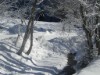 Billede 49