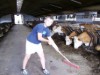 Bild 14