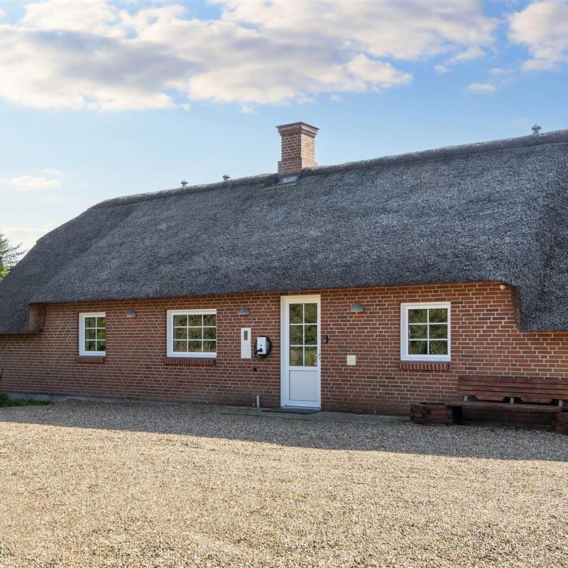 Sommerhus - 12 personer -  - Vester Mosevej - Vedersø Klit - 6990 - Ulfborg