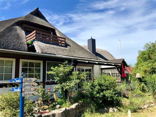 Holiday apartment - 4 persons -  - Herrmann- Löns- Str. - 18347 - Wustrow