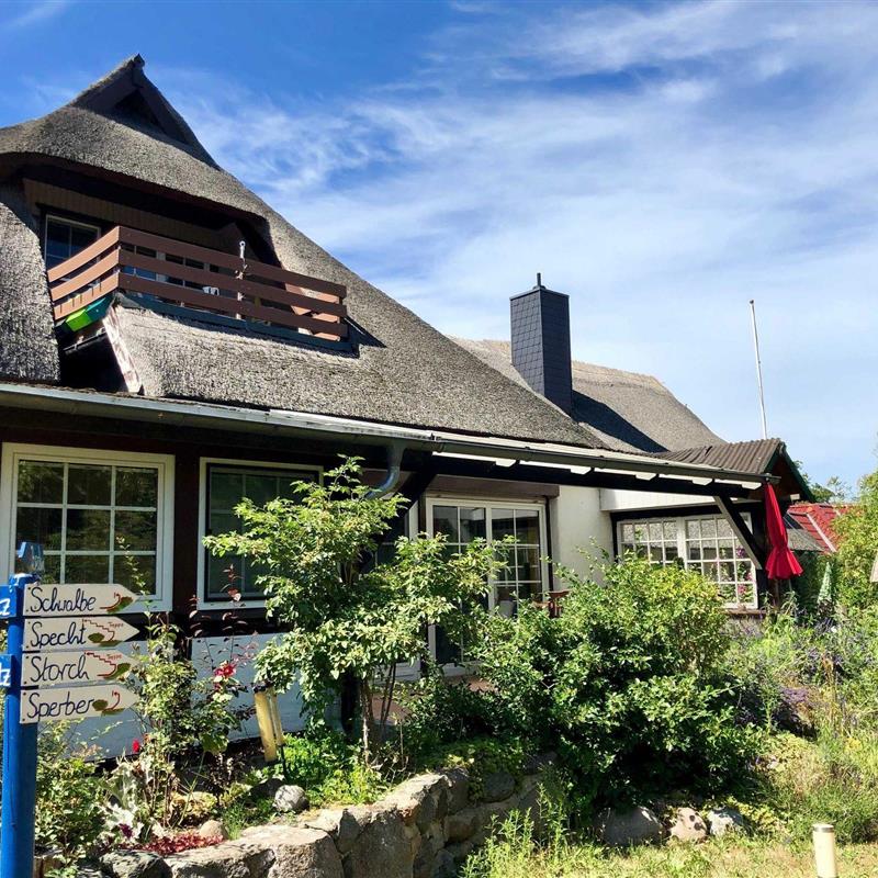 Ferielejlighed - 4 personer -  - Herrmann- Löns- Str. - 18347 - Wustrow