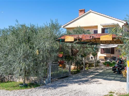 Holiday apartment - 7 persons -  - Ul. Ruze Petrovic - Fazana-Fazana - 52212 - Fazana