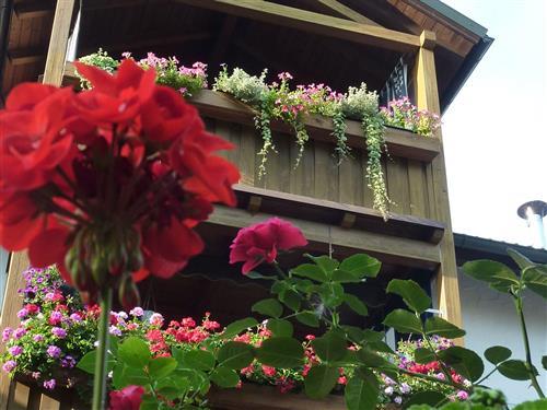 Ferielejlighed - 3 personer -  - Josefsburggasse - 84503 - Altötting