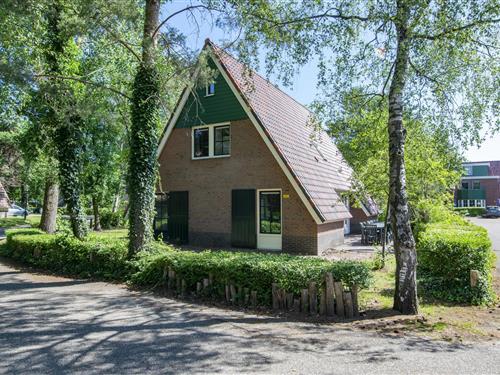Bungalow - 14 personer -  - 4904SG - Oosterhout