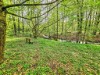 Bild 18 - Aussen