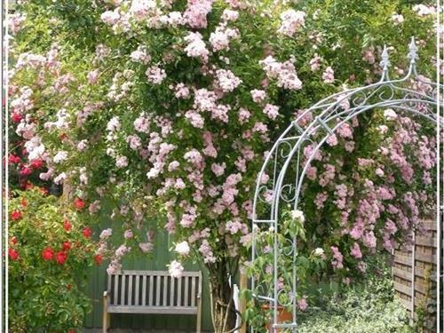 Ferienwohnung - 4 Personen -  - Norderende - 24803 - Erfde