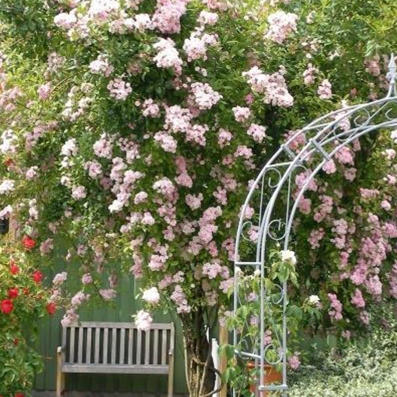 Ferielejlighed - 4 personer -  - Norderende - 24803 - Erfde