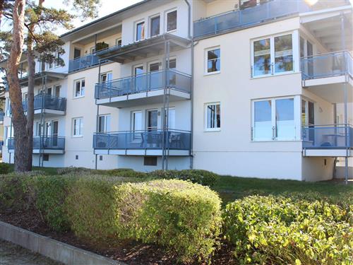 Holiday apartment - 4 persons -  - Lindenstr. 12 a - 17509 - Lubmin