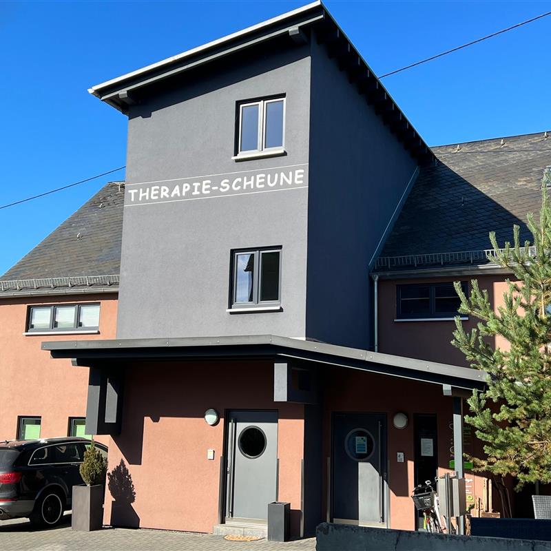 Ferielejlighed - 2 personer -  - Hauptstraße - 55487 - Niedersohren