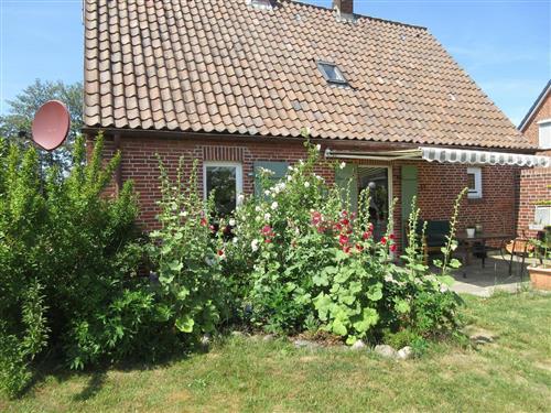 Sommerhus - 5 personer -  - Am Sportplatz - 25718 - Friedrichskoog