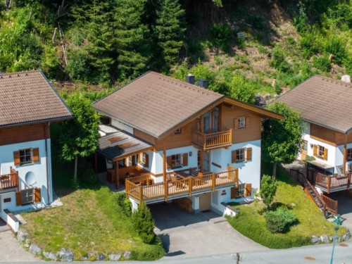 Holiday home - 12 persons -  - 5742 - Wald Im Pingzau