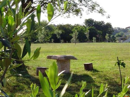 Holiday apartment - 4 persons -  - Pula/Krnica - 0