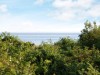 Bild 2 - Ude