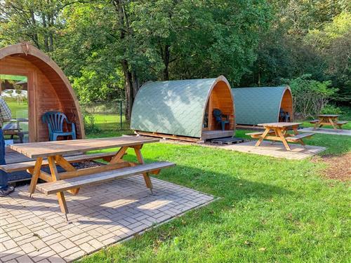 Ferielejlighed - 2 personer -  - Thalhauser Straße - 57577 - Hamm