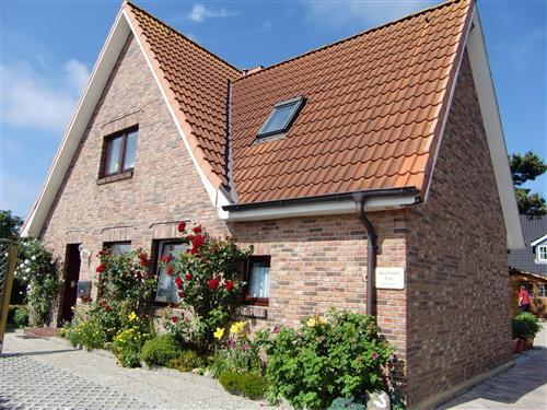 Semesterlägenhet - 3 personer -  - Culemeyerstraße - 25980 - Sylt