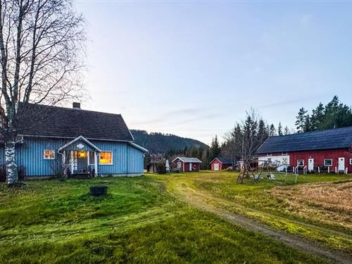 Holiday home - 10 persons -  - Bronkavegen - 2435 - Braskereidfoss